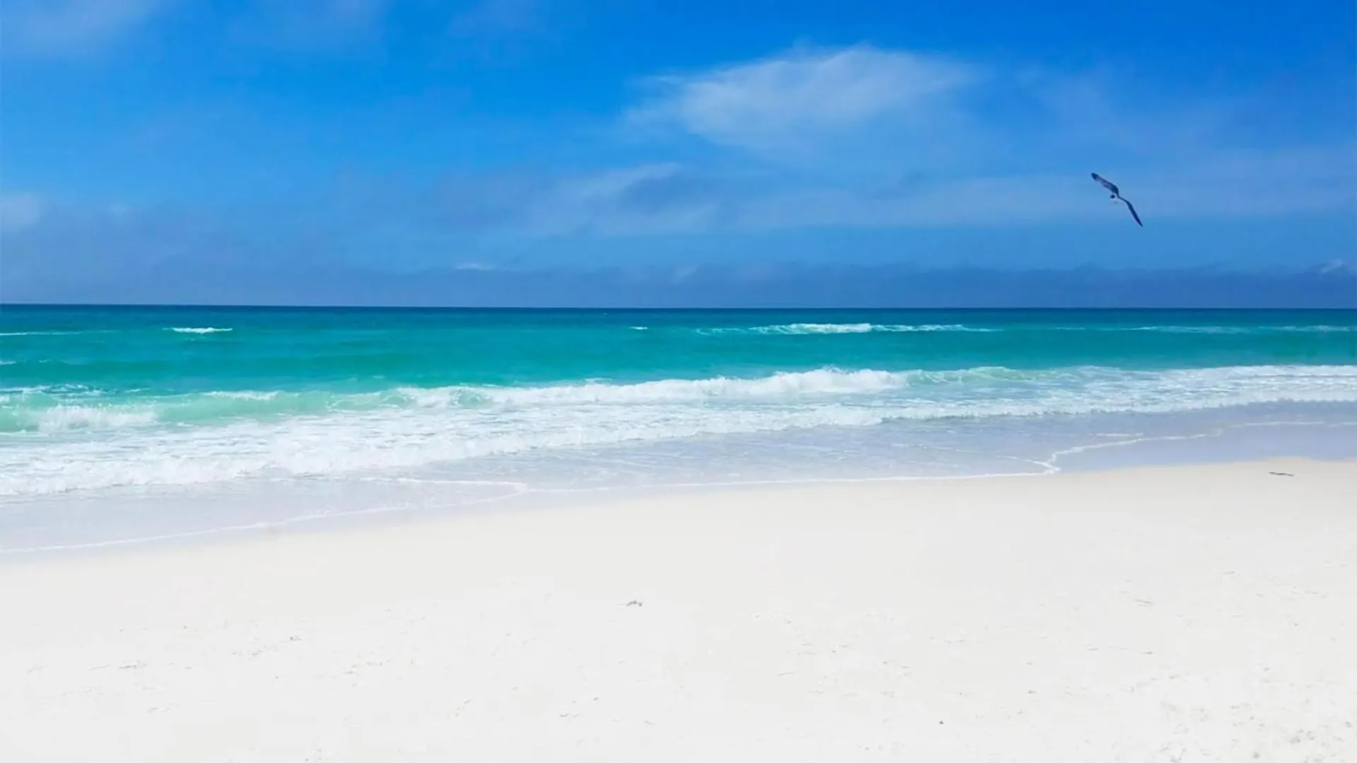 Calypso 3-406 - Paradise By The Pier Panama City Beach Holiday home